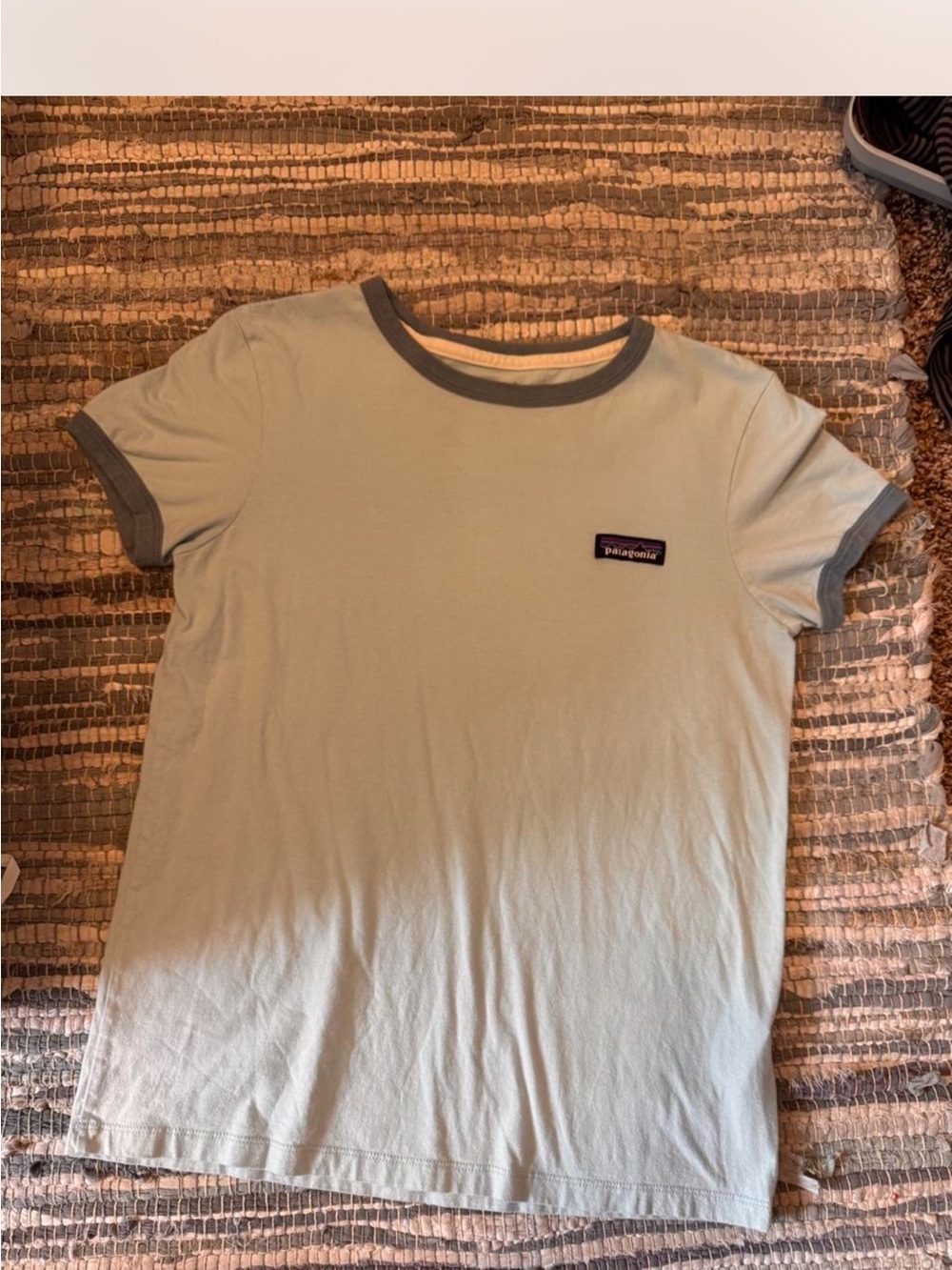 Patagonia Pale blue Tee with Gray Trim
